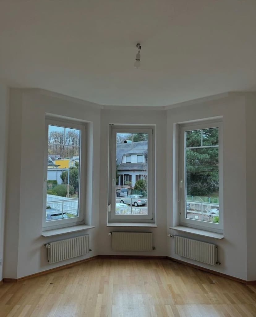 fensterreinigung.jpeg